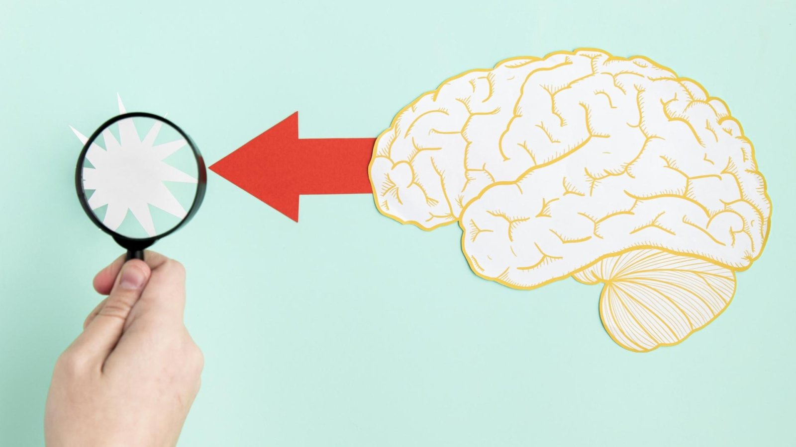 lupa-forma-cerebro-papel